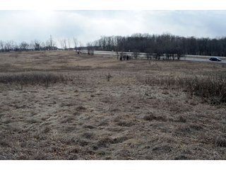 Property photo 26 - 127 Acres Offered in 8 Tracts - Allen & Dekalb County Land
